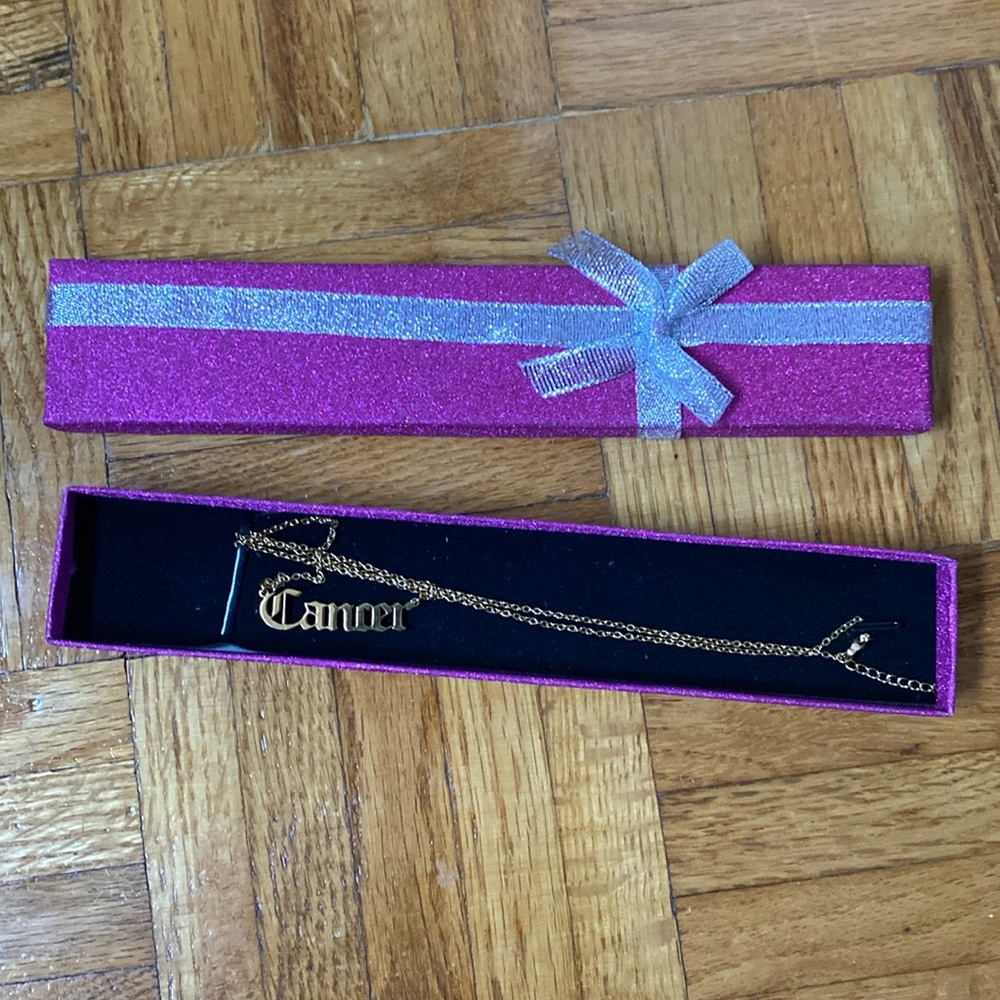 2/$20 Brand new Cancer zodiac necklace